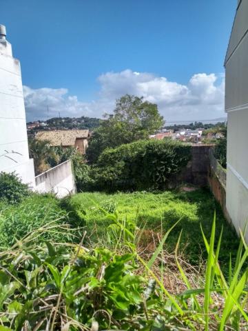 Terreno à venda em Ipanema, Porto alegre cod:6558 - Foto 4