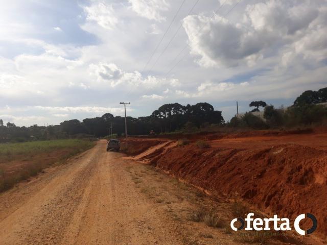 Terreno à venda em Centro, Contenda cod:526 - Foto 5