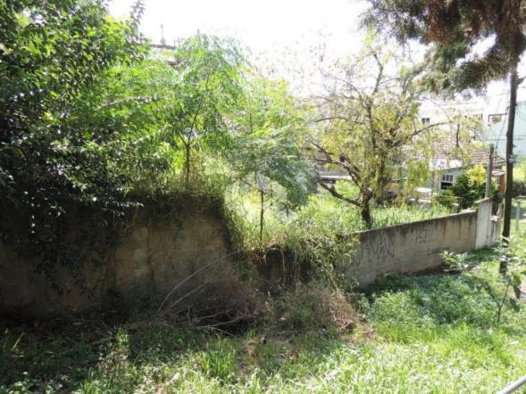 Terreno à venda em Chácara das pedras, Porto alegre cod:TE1389 - Foto 3