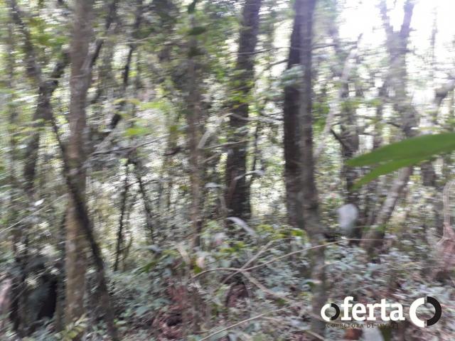 Chácara à venda em Araucária cod:566 - Foto 9