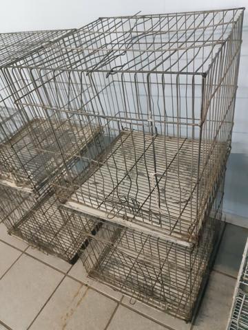 Gaiolas banho e tosa ( pet shop) - Foto 3