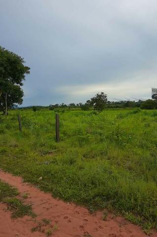 2.200 alqs Solo Argiloso Região De Chuva Palmeirópolis TO - Foto 20