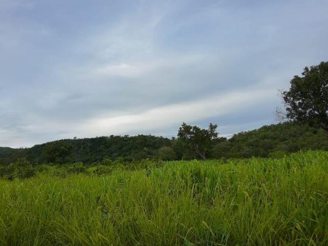 2.200 alqs Solo Argiloso Região De Chuva Palmeirópolis TO - Foto 8