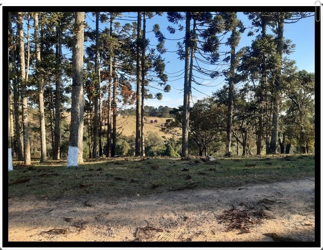 Ótimos Lotes Próximo A Ibiuna - Foto 5