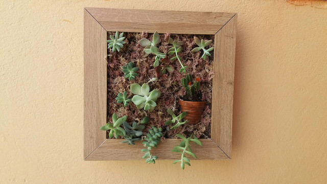 Molduras - Foto 2
