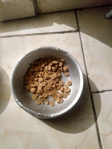 Vendo 2 pote de comida e água pra cachorro eu quero 50 reais nos 2 - Foto 5