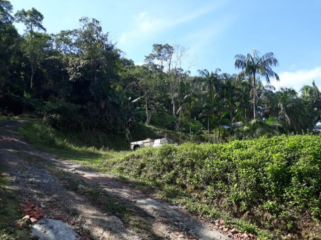 Terreno no Estaleiro - Vila da Glória - São Francisco do Sul - Foto 6