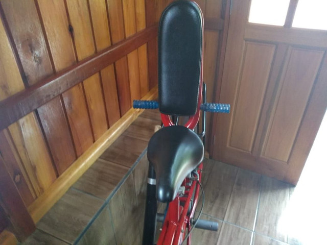 Linda !!! Bicicleta antiga feita artesanalmente !!! - Foto 5