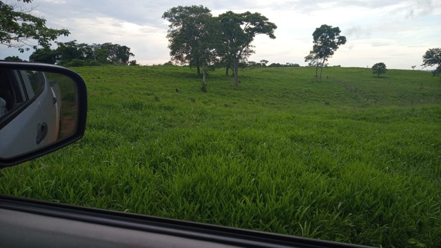 Fazenda de 378 Alqueires Goianos  - Foto 2