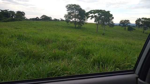 Fazenda de 378 Alqueires Goianos  - Foto 3