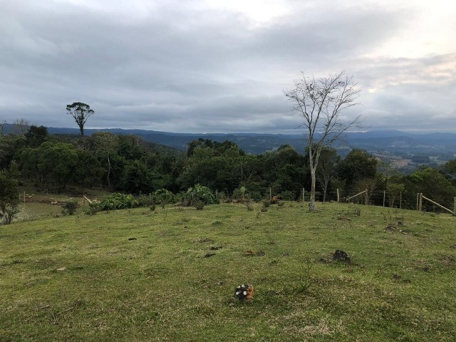 Sitio com 4Hectares e Poço Artesiano - Foto 3