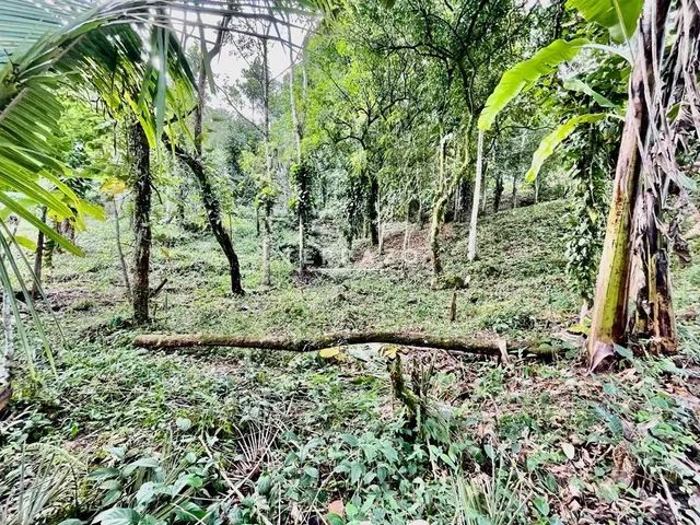 Terreno à venda, Limoeiro - Guapimirim/RJ - Foto 4