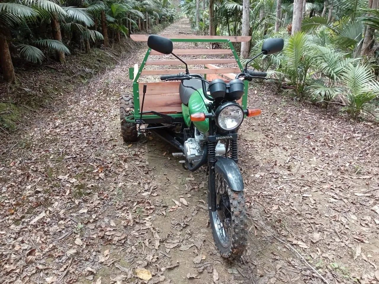 Moto Agrícola  - Foto 2
