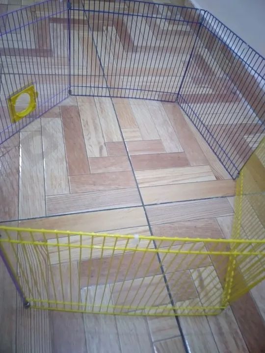 Cercadinho para Pet - Novo