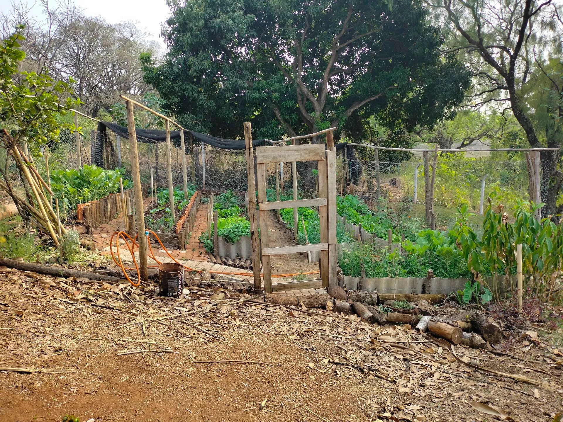 Chácara a venda na estrada Vieira  - Foto 4