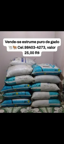 Estrume de gado puro