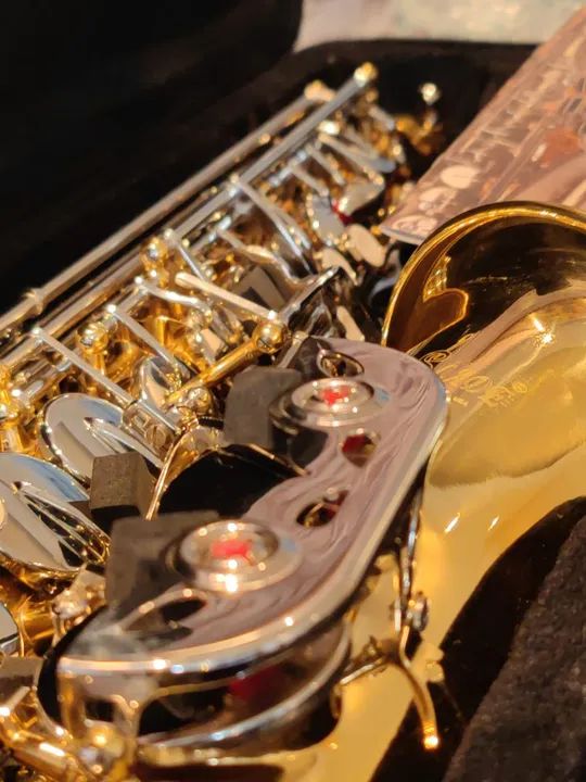 Sax Alto Novo Líder Absoluto em Vendas de Saxofones na OLX - Foto 5