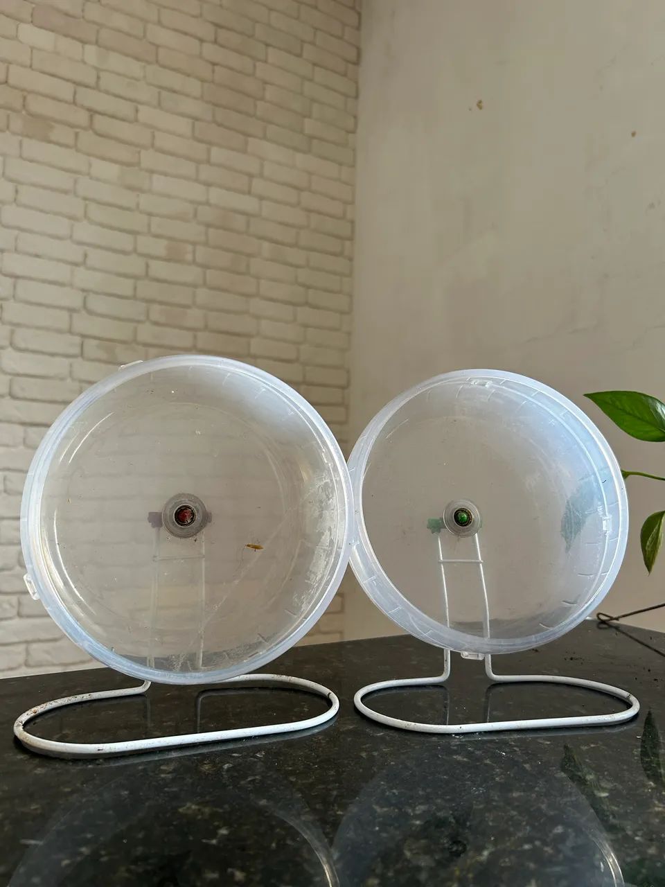 Roda de acrílico para hamster