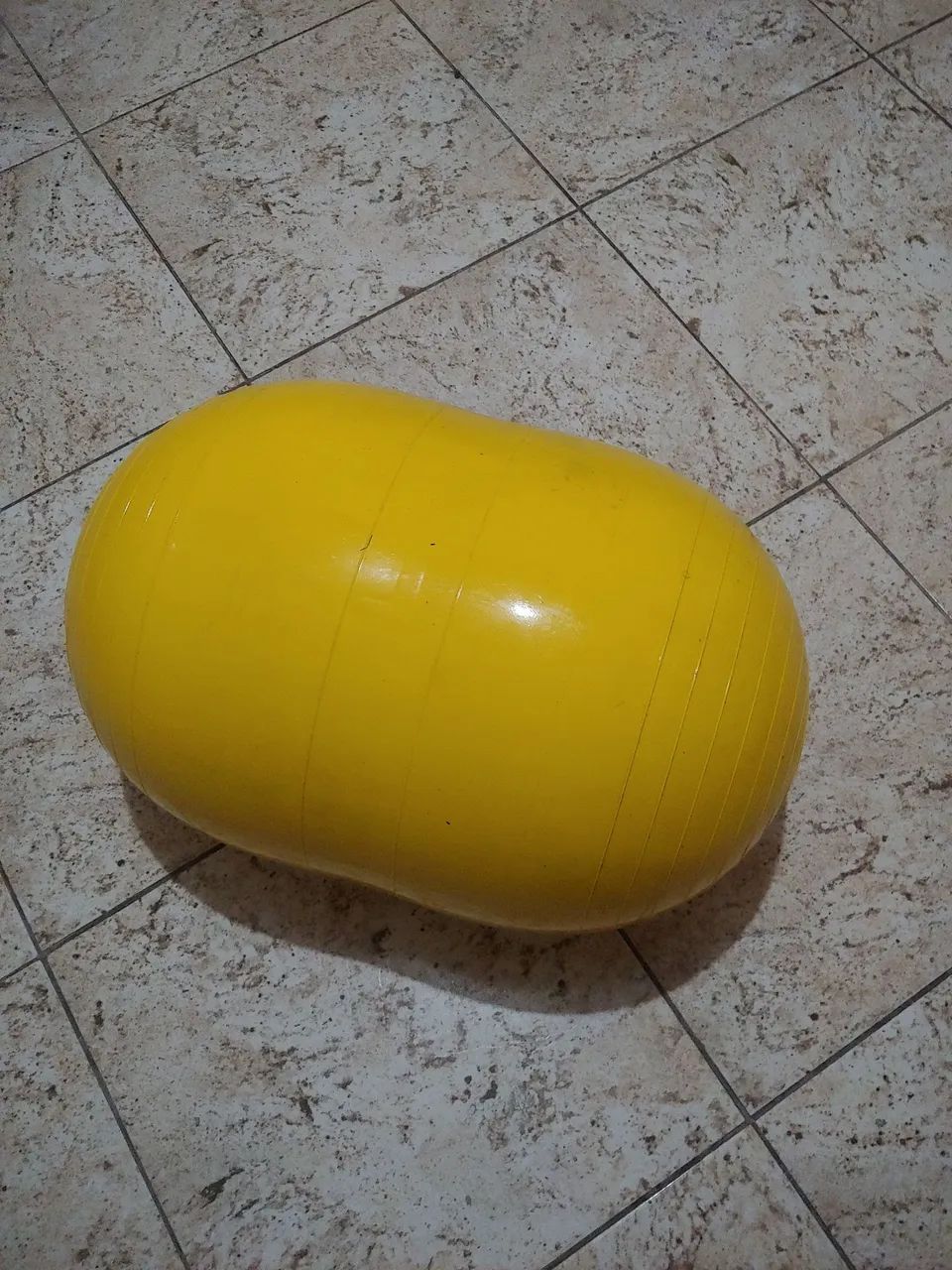 Bola para fisioterapia64293891923201121