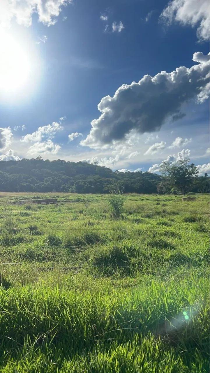 Fazenda dupla aptidão Gurinhata  - Foto 3