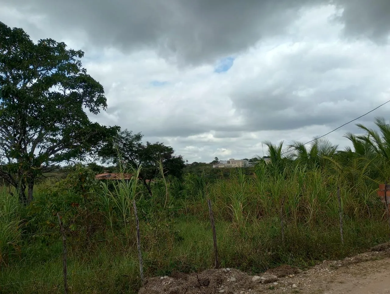 Vendo terreno na taboca
