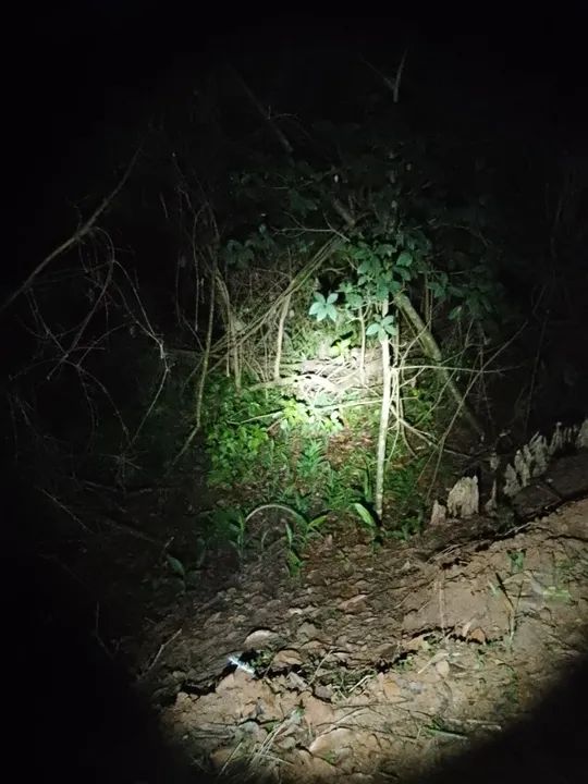 MINI LANTERNA - Foto 5