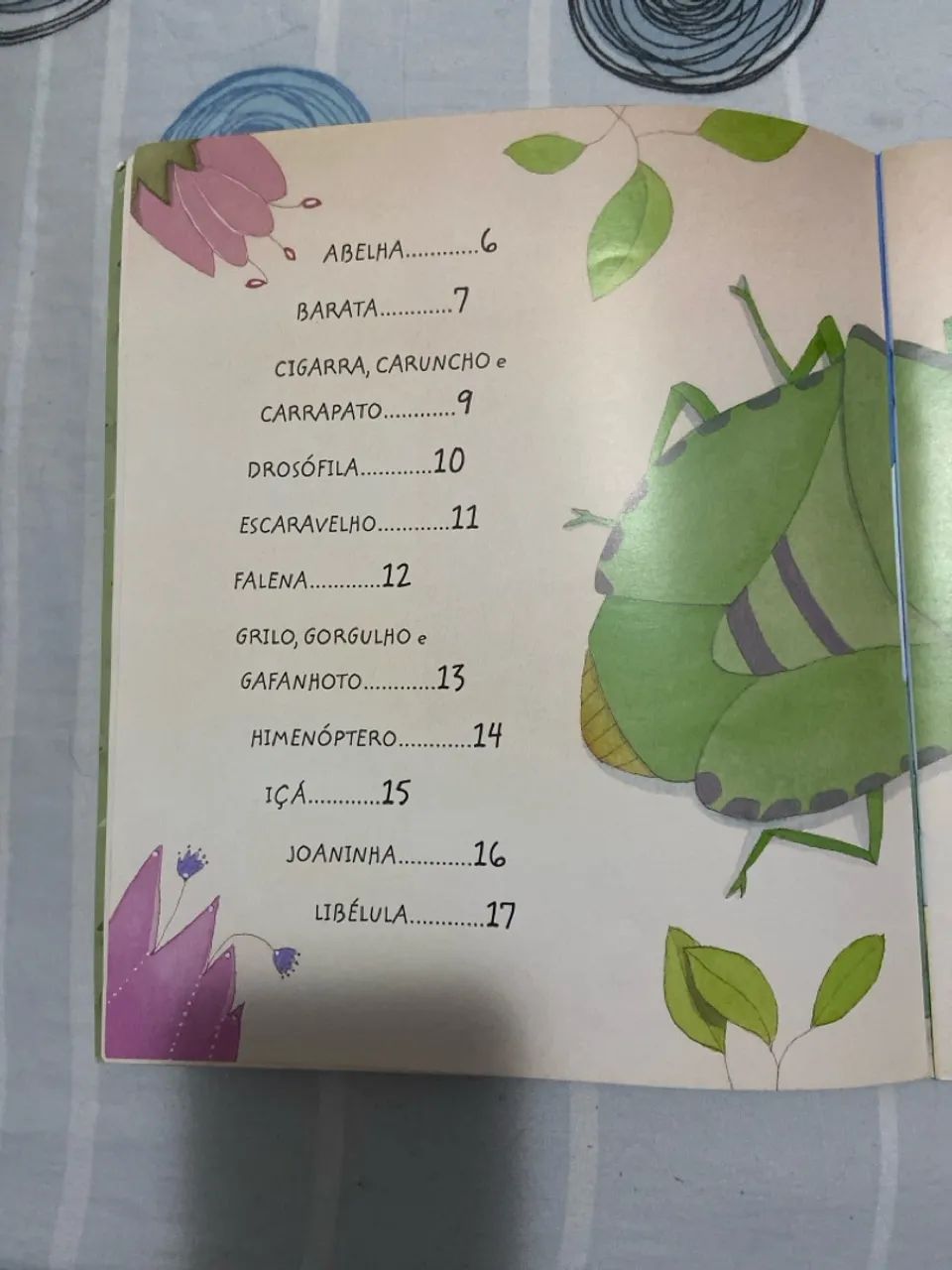 CIRANDA DOS INSETOS - Foto 3