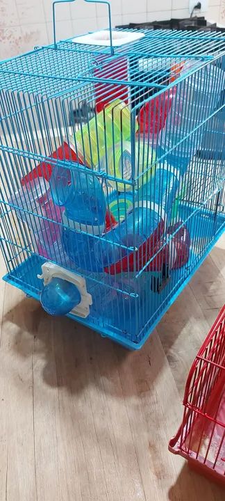 Gaiola para Roedores - 2 andares - Pronta para seu Pet! - Foto 2