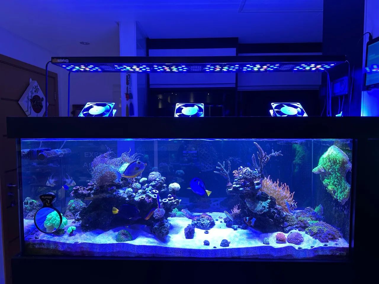 Aquário - 350 litros 