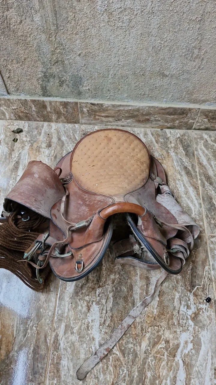 Sela para cavalo