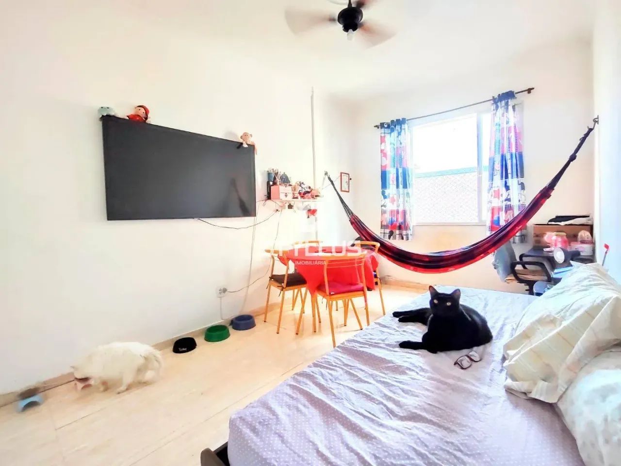 Méier | Apartamento 1 quarto - Foto 7