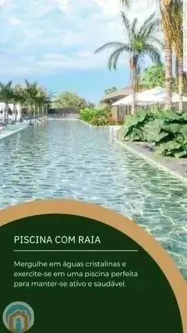 Bananeiras - haras da serra