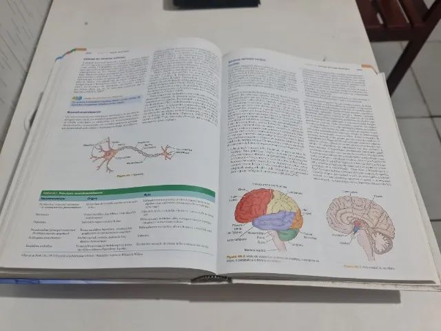 Livro Tratado de Enfermagem medico-cirurgica Brunner e Suddarth 13° Edição  - Foto 4