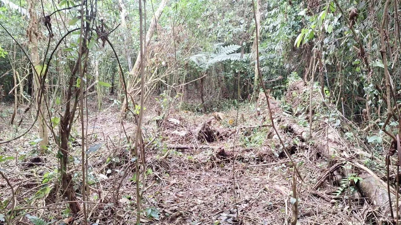 Imóvel para venda possui 1 metros quadrados em Caiubura - Bertioga - SP - Foto 5