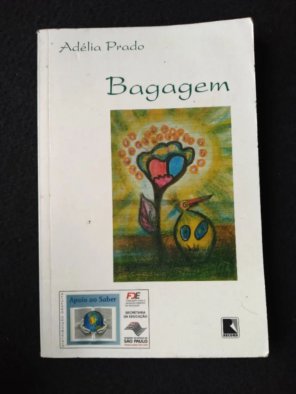 livro, bagagem - Foto 2