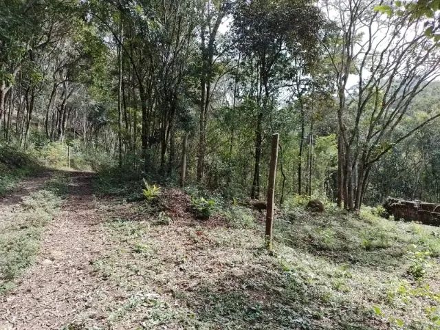 Lote em Caeté condomínio sem taxa com pesca piscina camping área gourmet lagos corrego - Foto 3