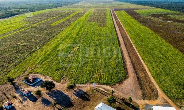 Fazenda à Venda na Bahia com 4.080 ha | Estrutura Completa, Irrigação por Pivô e Alto Pote - Foto 2