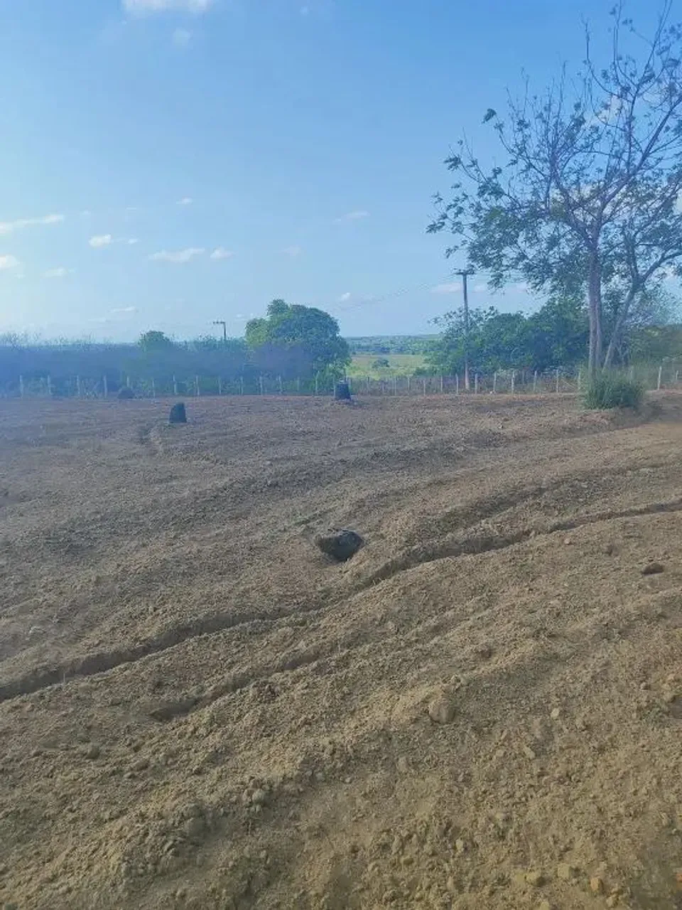 Granja com 3.6 hectares na região de Monte Alegre