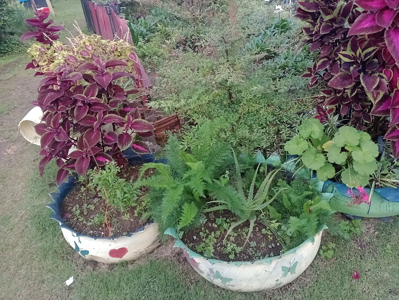 Jardim pintura e limpeza