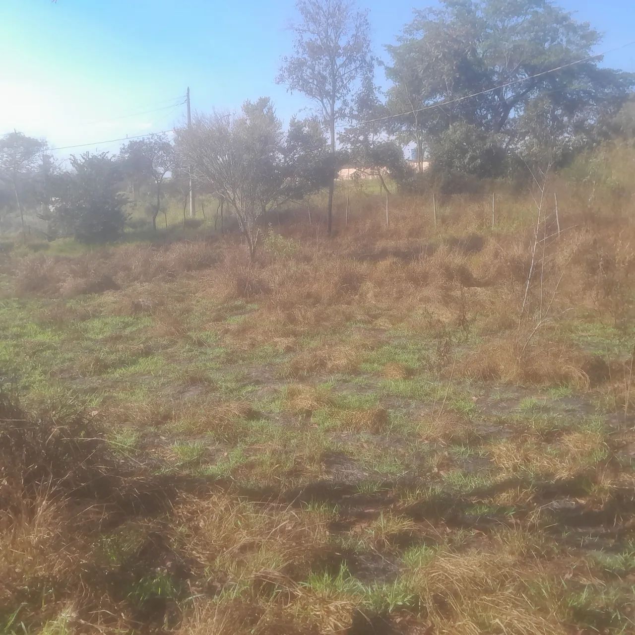 Lotes com escritura e registro 
