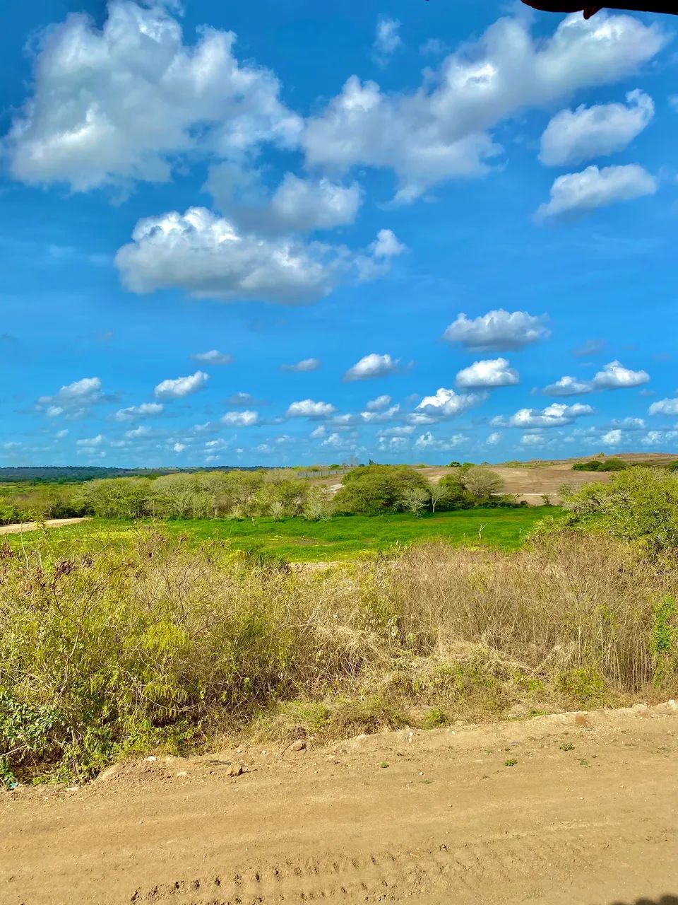 Repasse na fazenda real III - oportunidade  - Foto 3