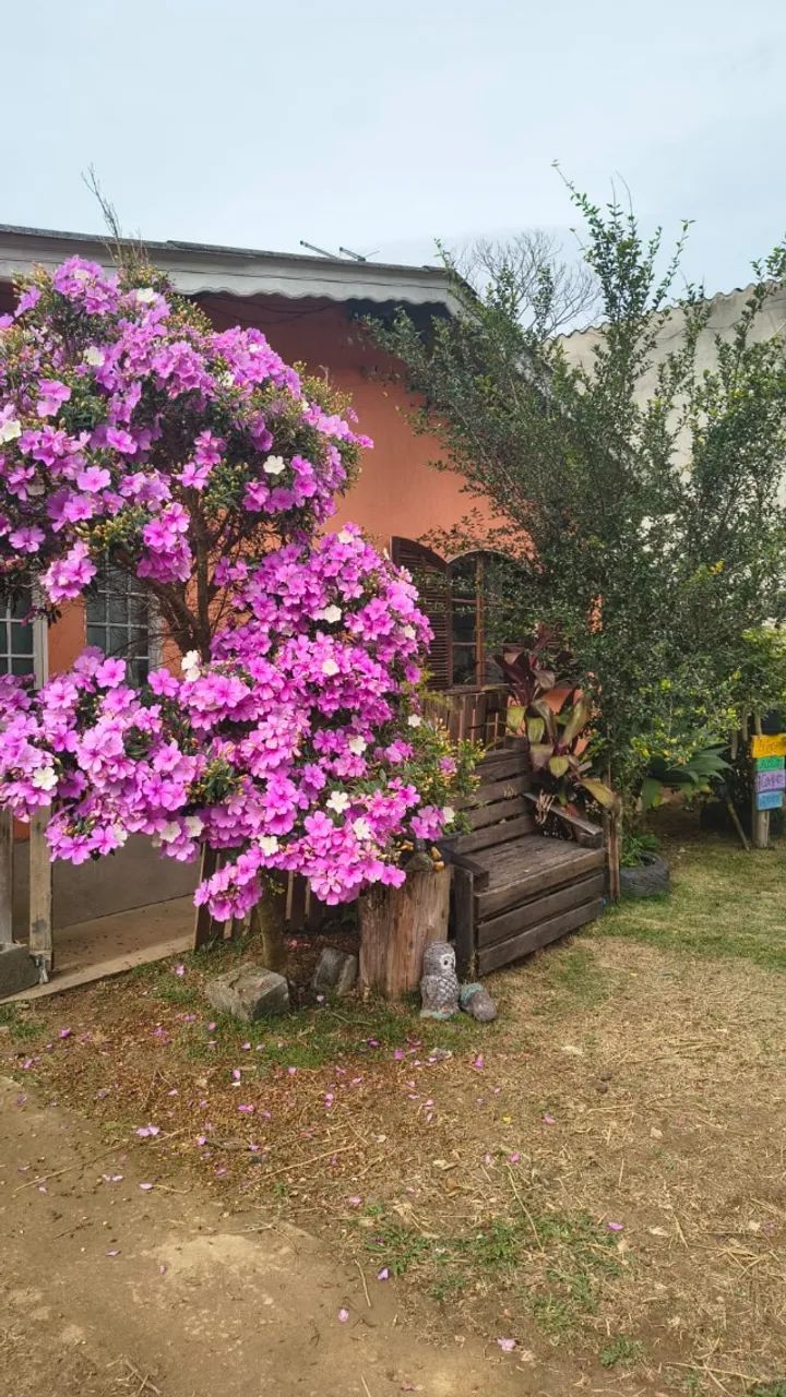 Chácara em Santa Isabel/SP - Foto 4