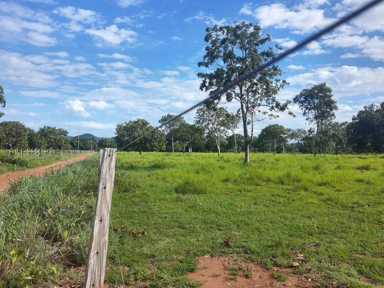 Fazenda para venda próximo a cidade de Porto Nacional/TO