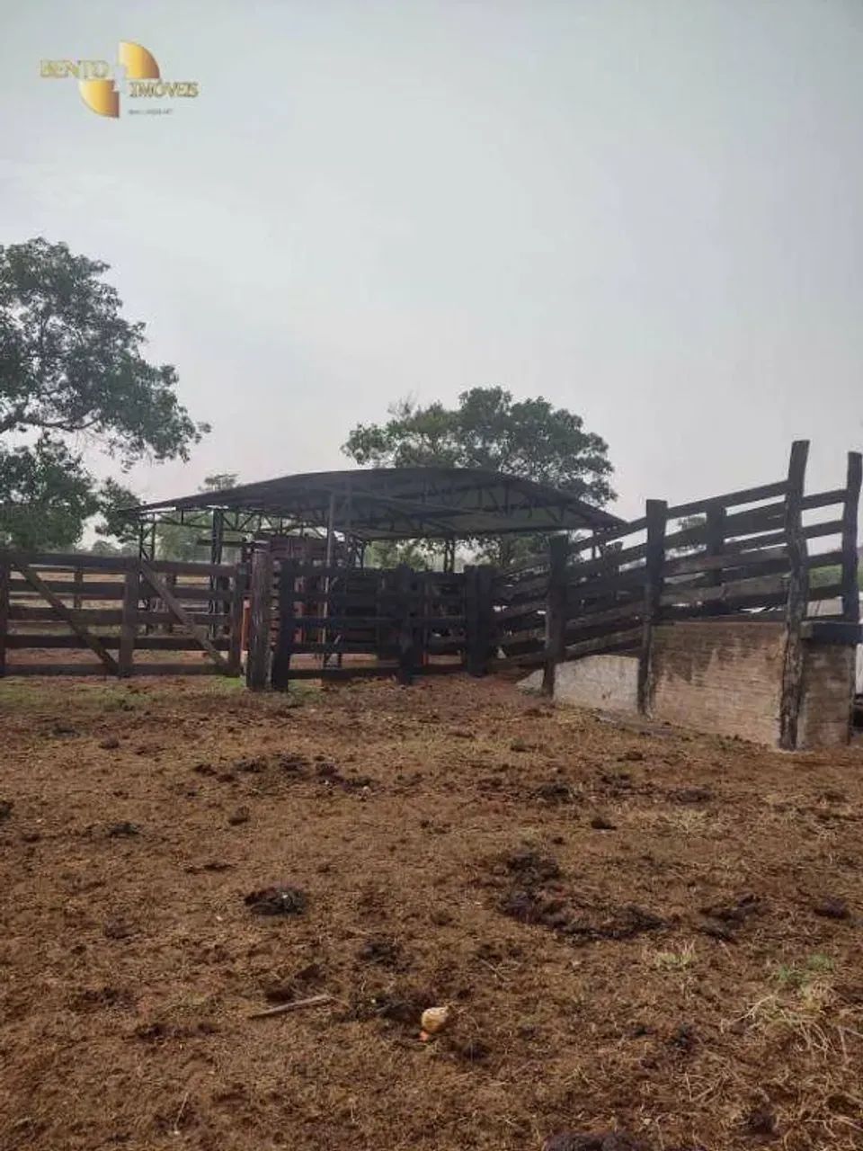 Fazenda com estrutura completa para criação. - Foto 5