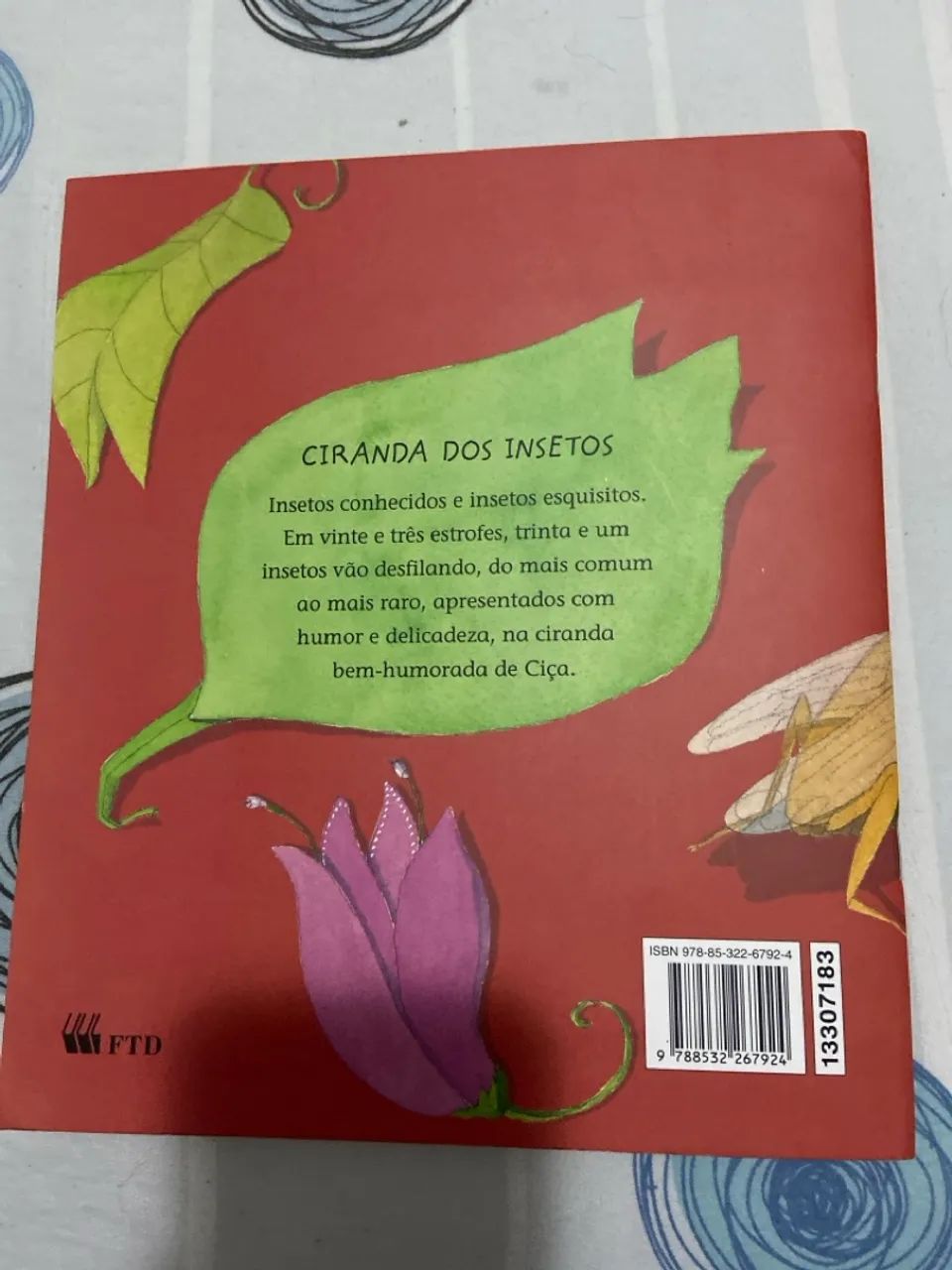 CIRANDA DOS INSETOS - Foto 2