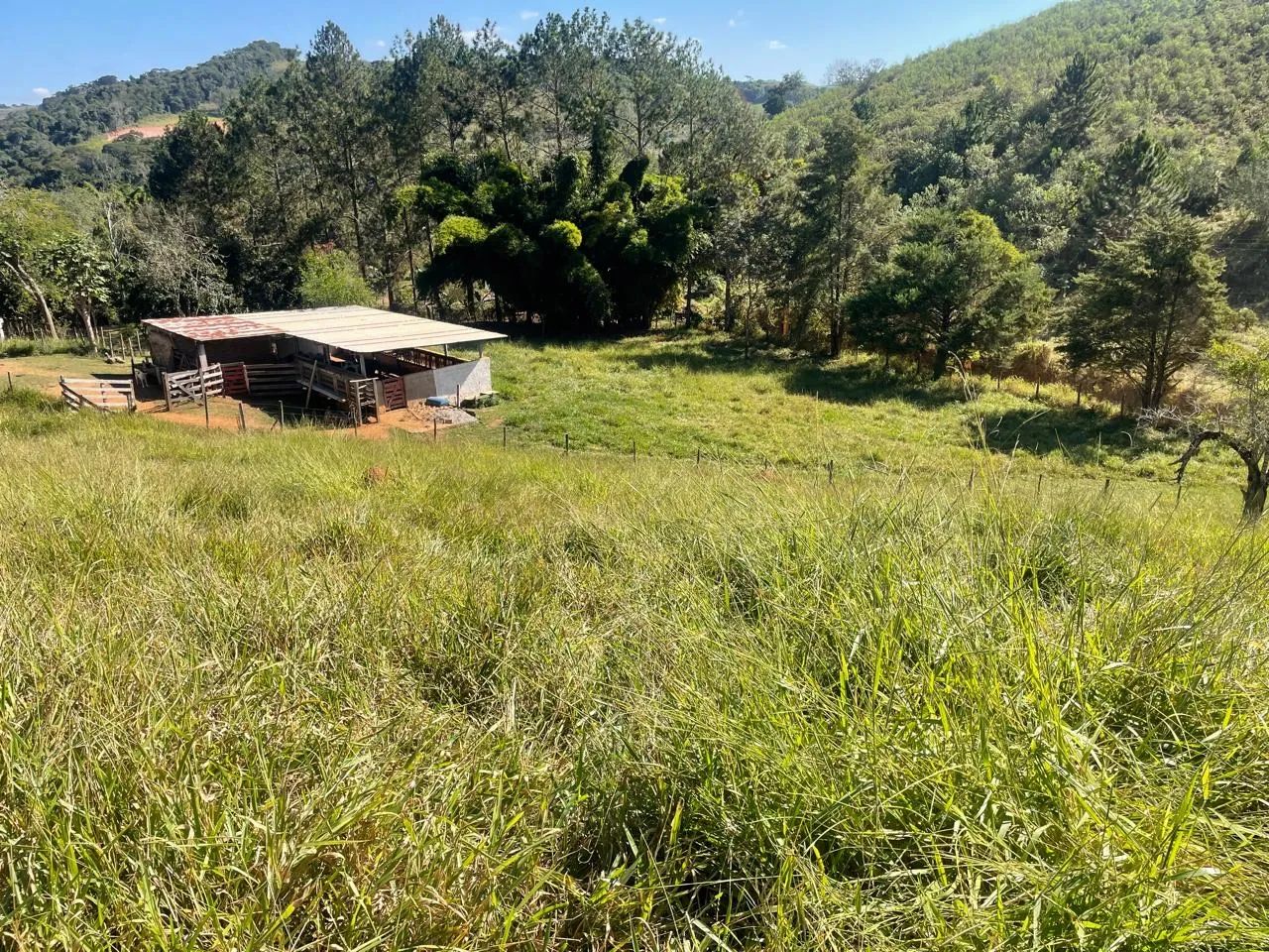 Sítio em São Luíz do Paraitinga - Foto 4