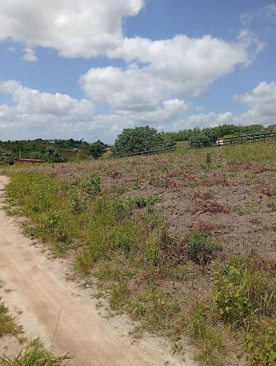 Terreno em chã grande  - Foto 5