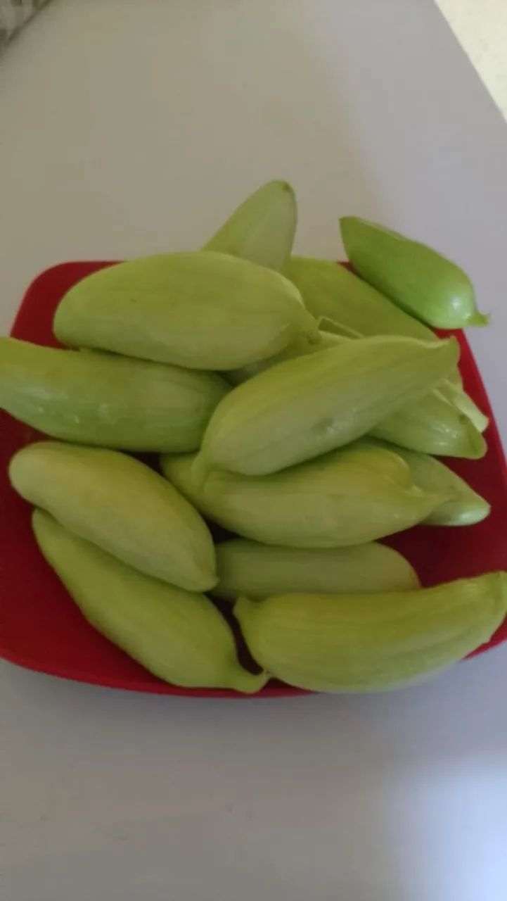 Verduras, legumes e frutas