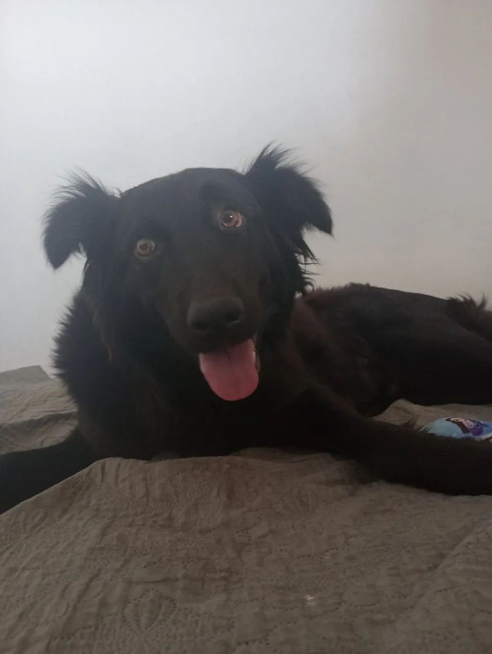 DOAÇÃO RESPONSÁVEL ! - Foto 3