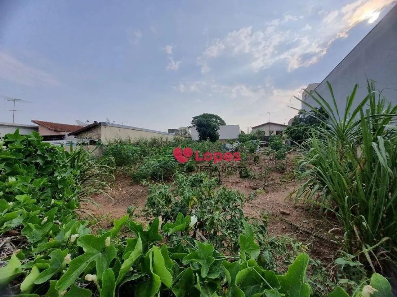 Terreno Comercial para Locação - Foto 3